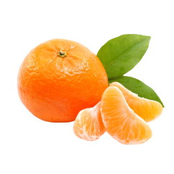 Мандарин красный Citrus reticulata