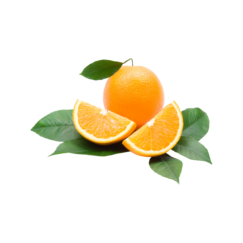 Апельсин солодкий    Citrus sinensis