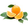 Апельсин сладкий   Citrus sinensis