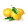 Лимон Citrus limon