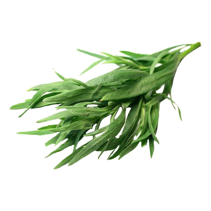 Естрагон Artemisia dracunculus