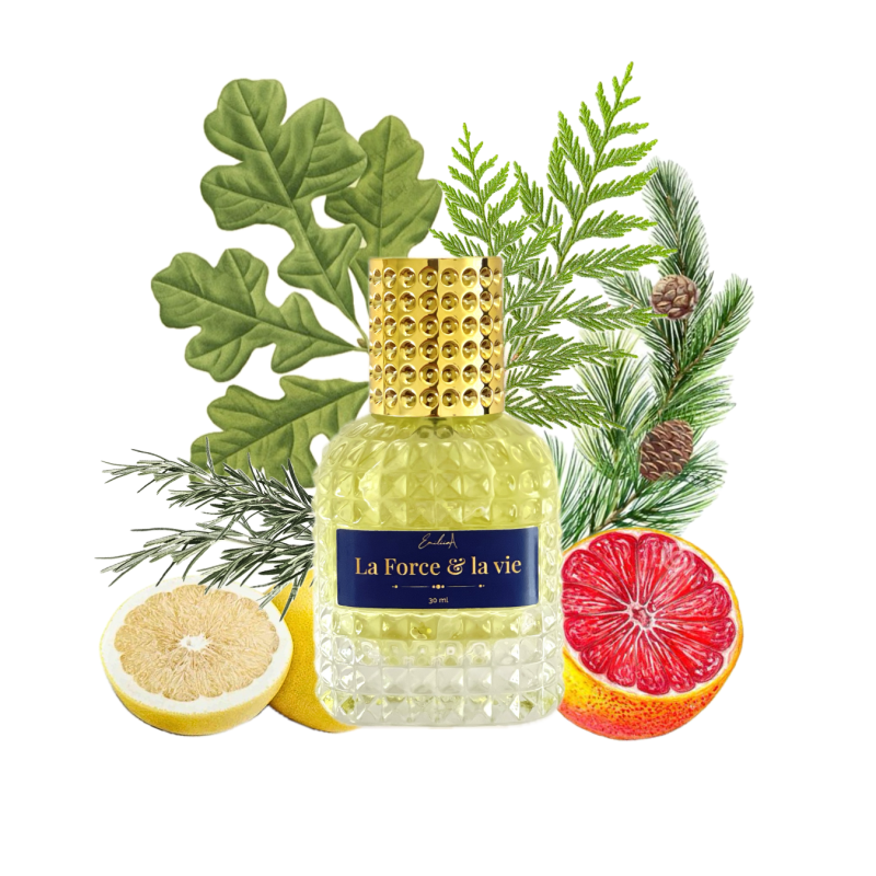 LA VIE ET LA FORCE   Жизнь и сила