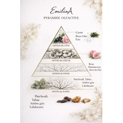 LA PETALE  ROSE  Лепесток розы