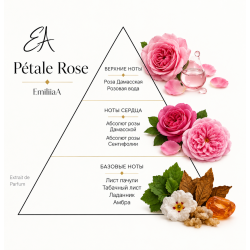 LA PETALE  ROSE  Пелюстка троянди