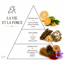 LA VIE ET LA FORCE ЖИТТЯ І СИЛА