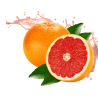 Грейпфрут розовый Citrus paradisi